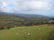 Antrim - Blandede billeder (5)