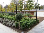 Antrim Castle Gardens (04)