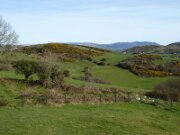 Ballymacdermot Ancient Monument (3)