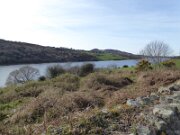 Camlough Lake Recreation Area (2)