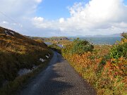Beara Peninsula (10)