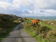 Beara Peninsula (12)