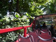 Belfast - Busrundtur (4)