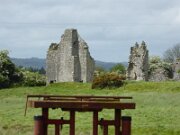 Ballyloughan Castle (2)