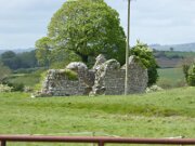 Ballyloughan Castle (3)