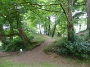 Brian Boru's Fort (2)