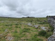 Cathair Chonaill Stone Fort