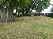 Albersdorf - Megalithgrab Brutkamp (1)