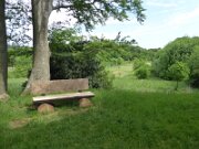 Albersdorf - Steinzeitpark Dithmarschen (11)