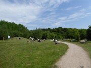 Albersdorf - Steinzeitpark Dithmarschen (5)