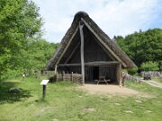 Albersdorf - Steinzeitpark Dithmarschen (7)