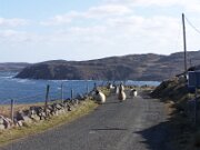 Donegal - Blandede billeder