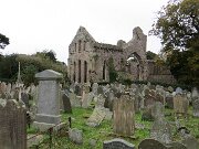 Ards Peninsula - Grey Abbey