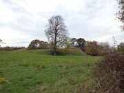 Duneight Motte and Bailey