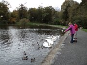 Hillsborough Fort (3)