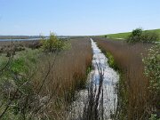Egebæk-Hviding - Gammel Hviding Engsø (2)