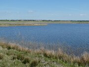 Egebæk-Hviding - Gammel Hviding Engsø (5)