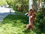 Egebæk-Hviding - Info Dobbeltbyen Egebæk-Hviding (2)