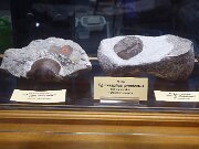 Christiansenspark - Eiszeit-Haus (3)