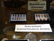 Christiansenspark - Eiszeit-Haus (4)