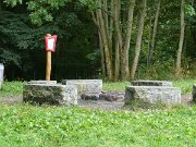 Dicker Willis Koppel (07)