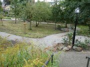 Dicker Willis Koppel (08)