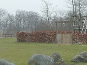 Dybvad - Søparken (01)