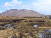 Connemara - Blandede billeder (2)