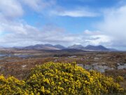 Connemara - Blandede billeder (4)