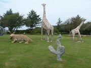 Bjergby - Peterspladsen (2)