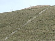 Alsbjerg Bakker - Blushøj (3)