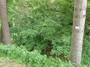 Alter Botanischer Garten (01)