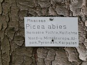 Alter Botanischer Garten (02)