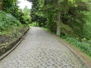 Alter Botanischer Garten (03)