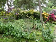 Alter Botanischer Garten (04)