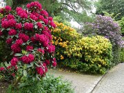 Alter Botanischer Garten (05)