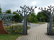 Botanischer Garten (1)