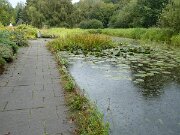 Botanischer Garten (10)