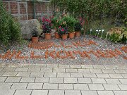 Botanischer Garten (2)