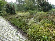 Botanischer Garten (3)