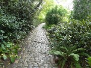 Botanischer Garten (4)