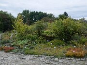 Botanischer Garten (5)