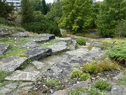 Botanischer Garten (6)