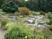 Botanischer Garten (7)