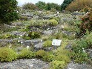 Botanischer Garten (8)