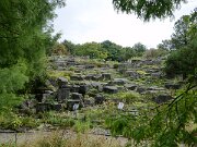 Botanischer Garten (9)