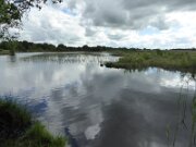 Ballynafagh Lake (4)