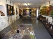 Bog of Allen Nature Centre (2)