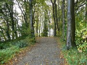 Brodtener Steilufer (03)