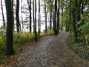 Brodtener Steilufer (04)